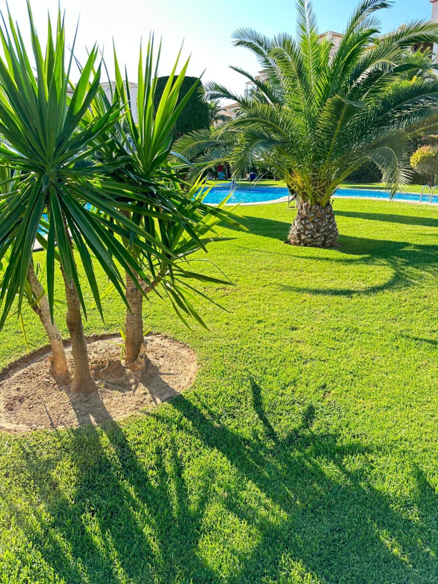 Alisa Costa Blanca Apartment Platja de Larenal Exterior photo