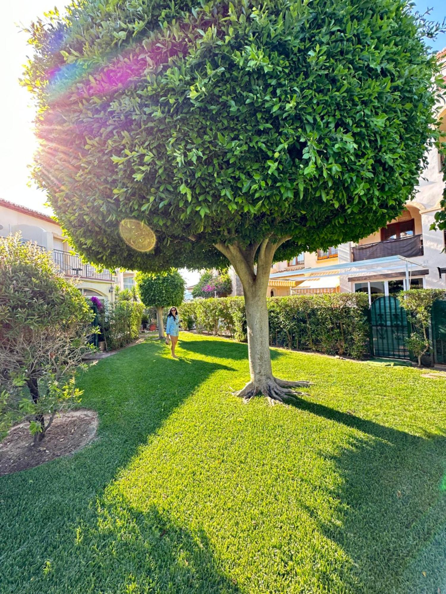 Alisa Costa Blanca Apartment Platja de Larenal Exterior photo